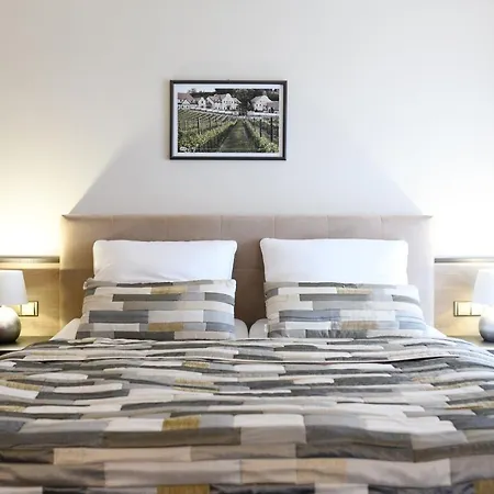Vinarstvi U Kaplicky Hotel