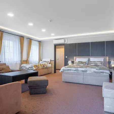 Hotel Vinarstvi U Kaplicky *