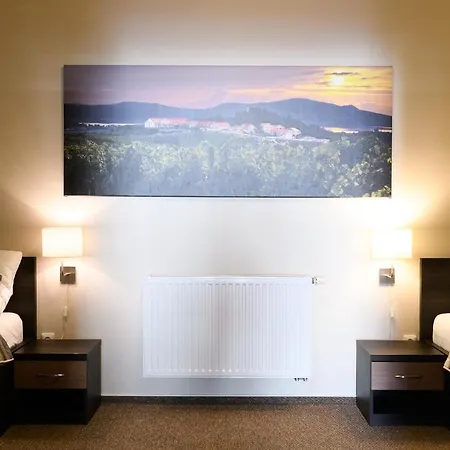 Hotel Vinarstvi U Kaplicky *