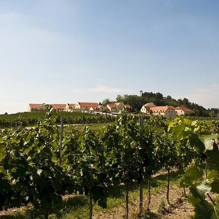 Vinarstvi U Kaplicky Casa de hóspedes 3*