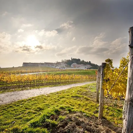Maison d'hôtes Vinarstvi U Kaplicky 3*