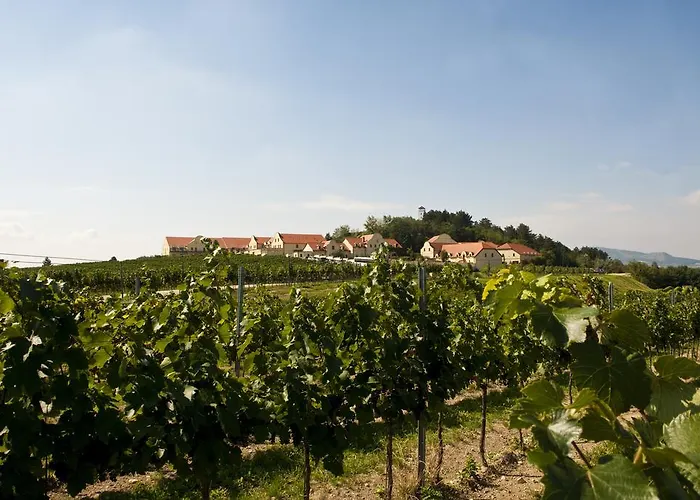Vinarstvi U Kaplicky Penzion 3*