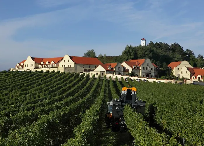 Penzion Vinarstvi U Kaplicky Zaječí